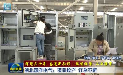 辉煌三十年 奋进新征程﹒赋能挺脊 工业强市| 湖北国洋电气：项目投产 订单不断
